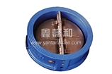 Water Resilient Seated Butterfly Valve