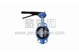 Butterfly valve